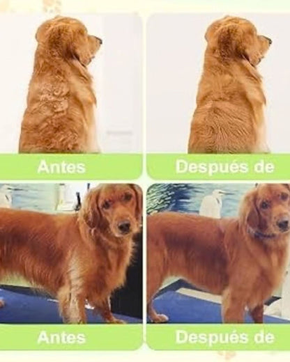 Cepillo Vaporizador 3 en 1 para mascotas